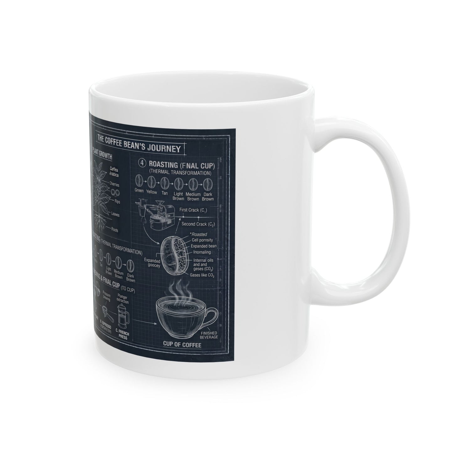 Coffee Anatomy Ceramic Mug — Blueprint Guide to Coffee (11oz & 15oz)