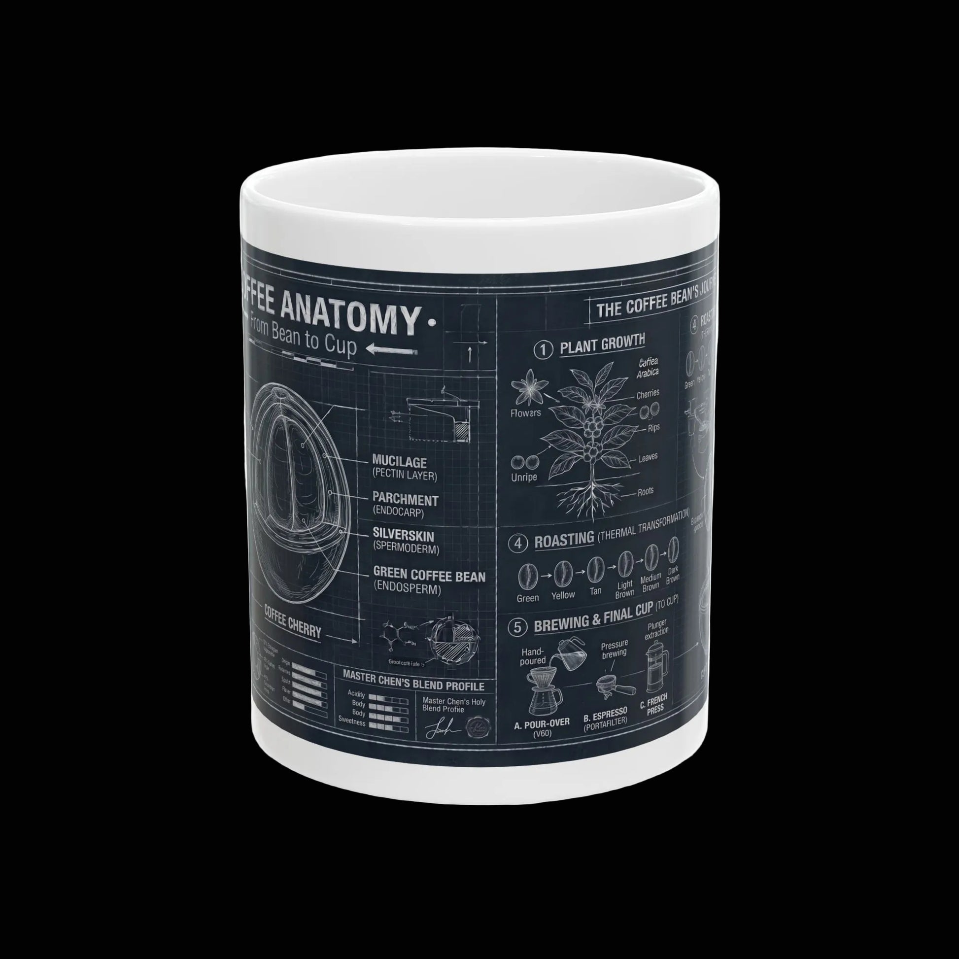Mug with coffee anatomy diagram on a white background