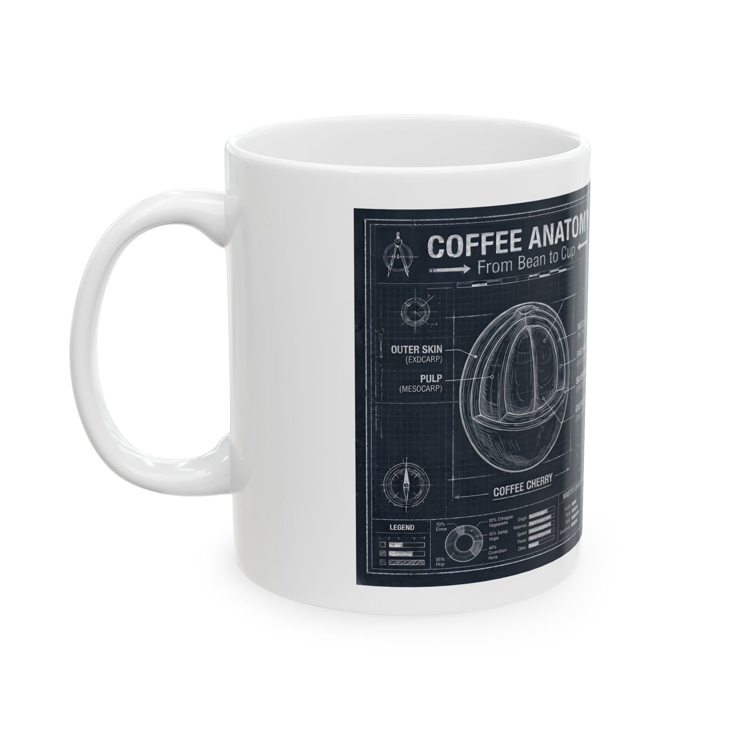 Coffee Anatomy Ceramic Mug — Blueprint Guide to Coffee (11oz & 15oz)